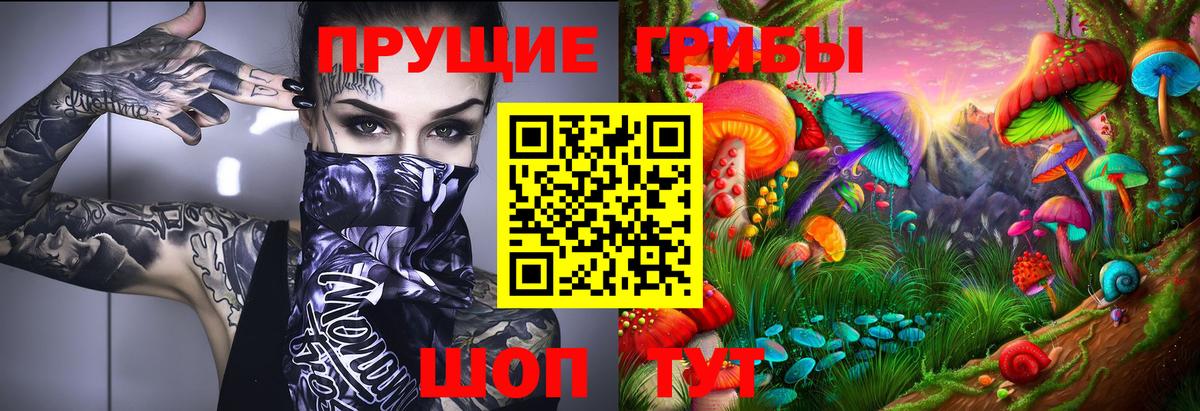 Зеленогорск  Галлюциногенные грибы Magic Shrooms  Вход с VPN 