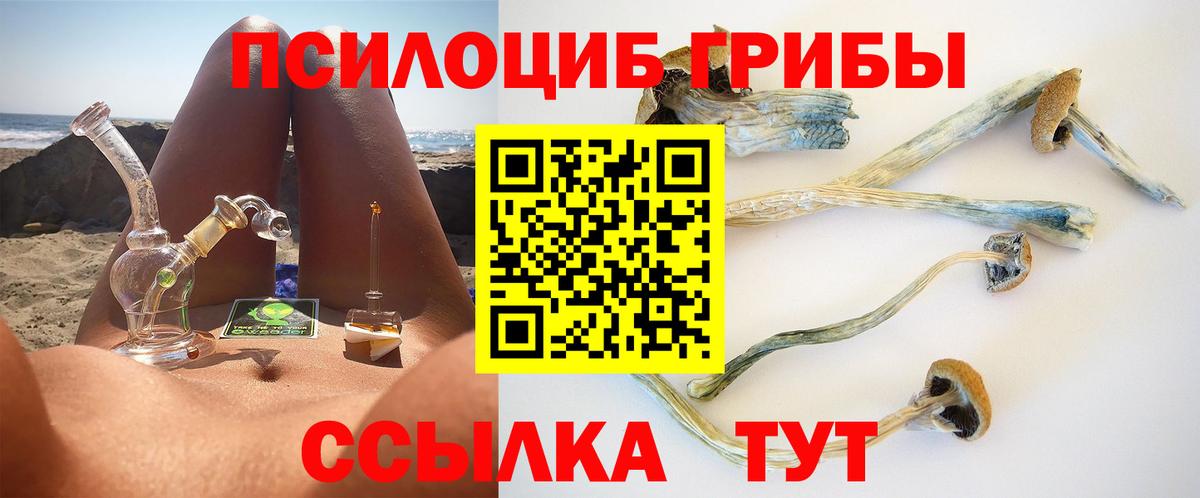 Псилоцибиновые грибы Psilocybine cubensis Зеленогорск